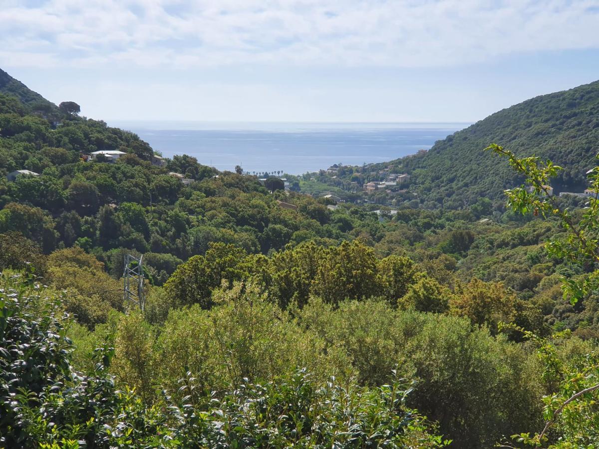 Cap Corse Uribellinu 2 Formule Petit Dejeuner Santa-Maria-di-Lota Exterior foto